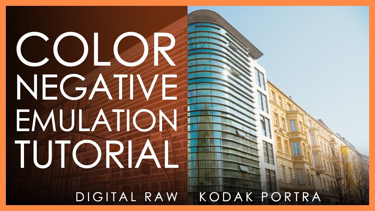 Use Digital Raw Files Like Analog Film Scans in Negative Lab Pro - Tutorial