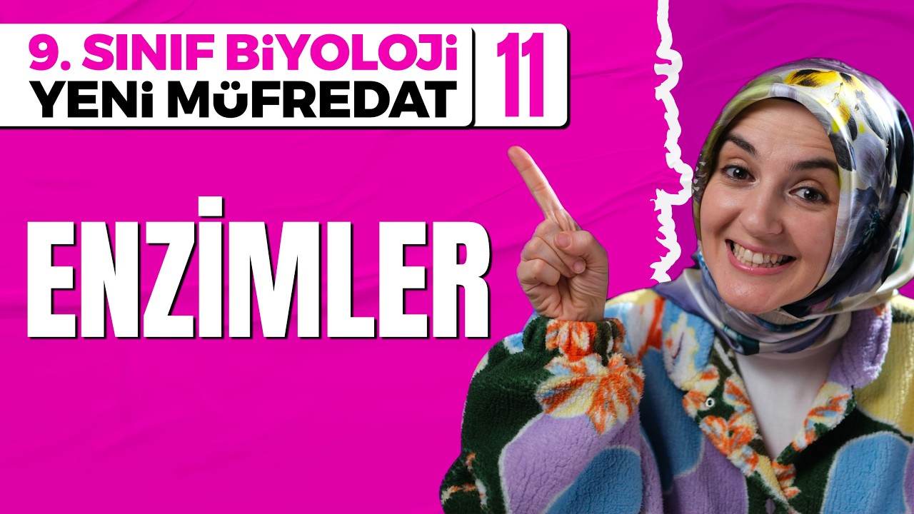 19) Enzimler | 9. Sınıf Biyoloji (Maarif Modeli, Yeni Müfredat)