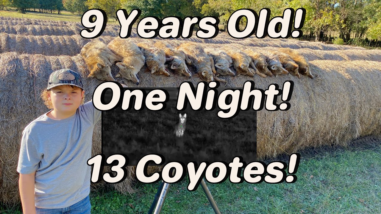 Extremely Close Coyote Hunting! Hunting with Iray TX60C Thermal! 