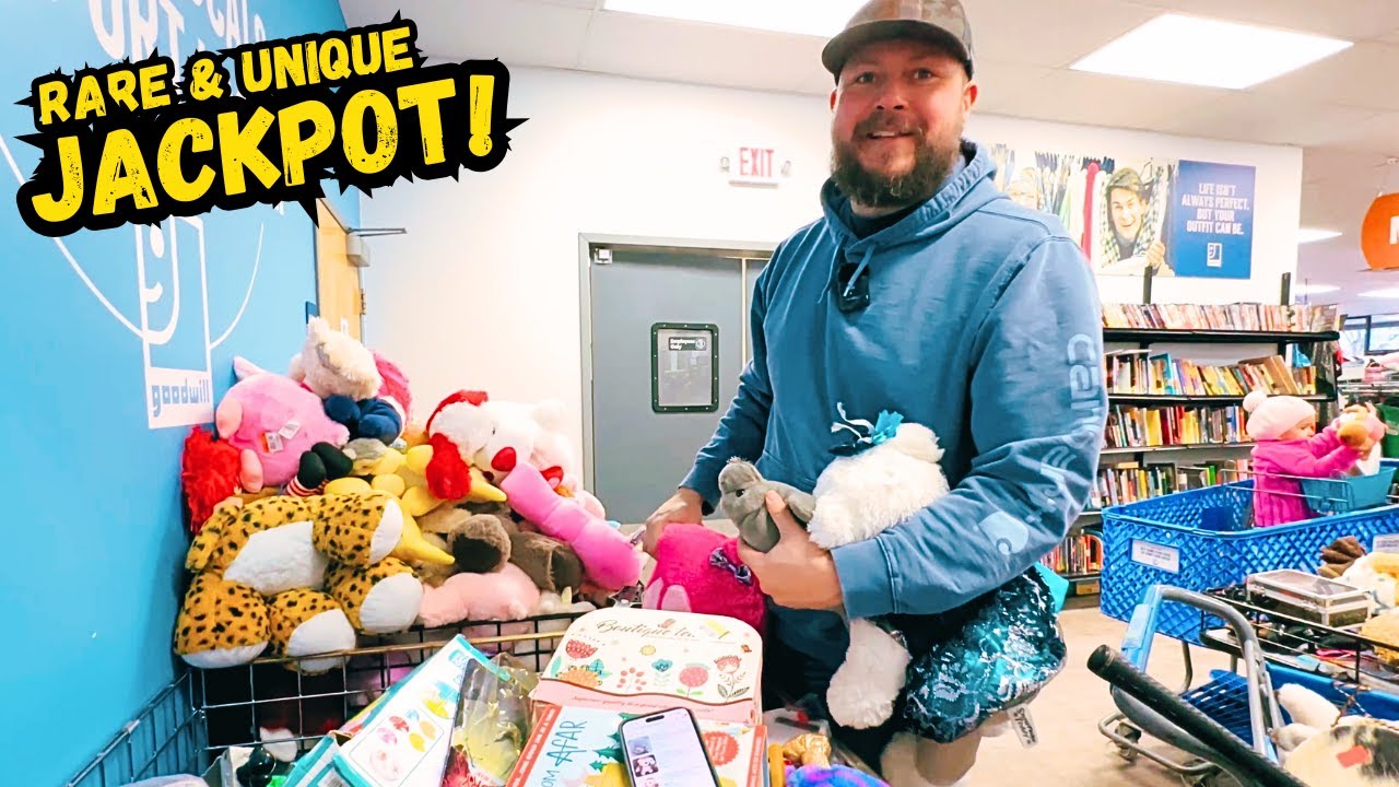 Turning $1 into $250 at GOODWILL!!!