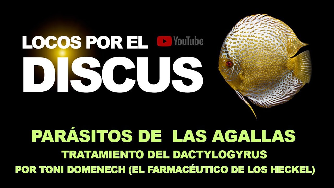 PARÁSITOS DE LAS AGALLAS