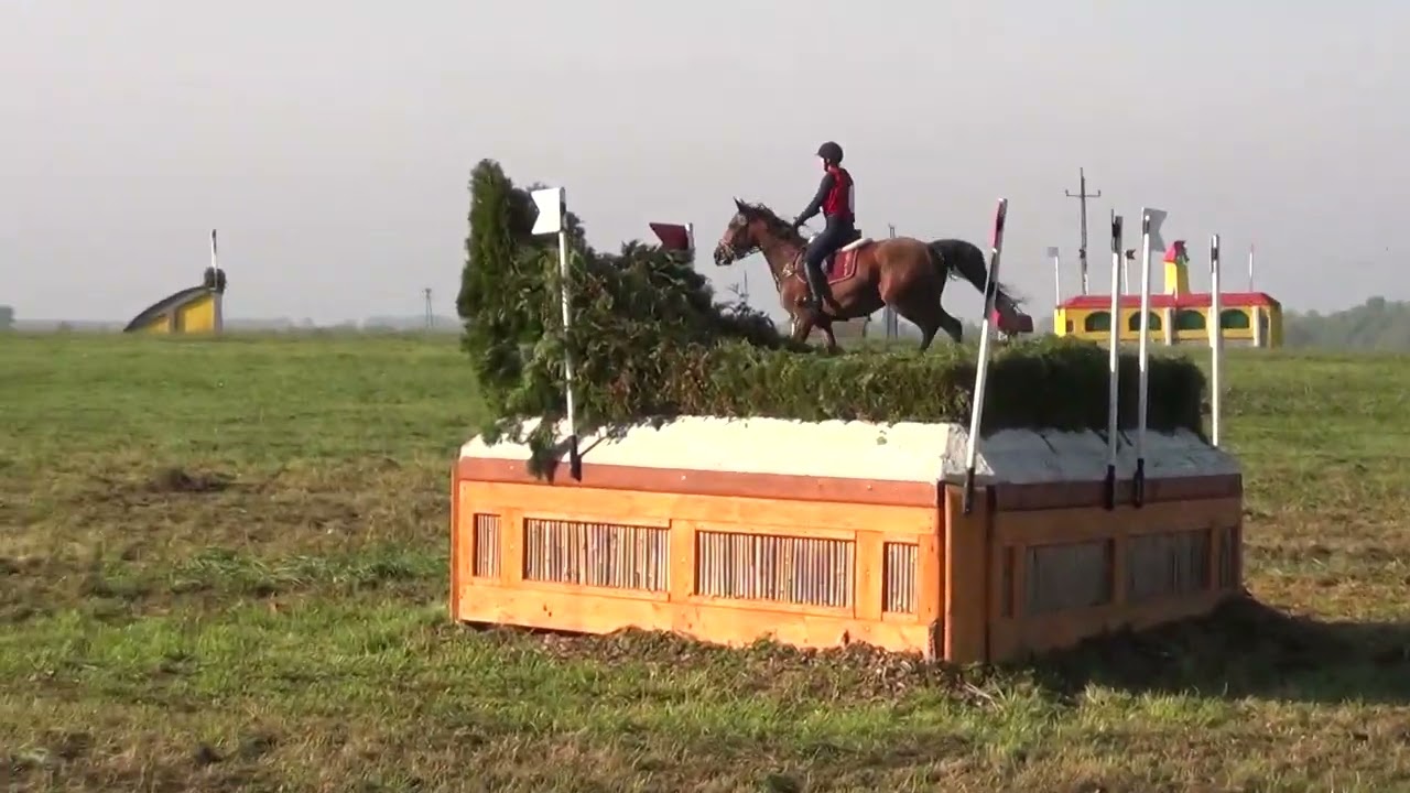 Dr. Kocsis Flóra - Furioso XLVII-70 Csodás - A0 - Bábolna 2022 október 7-9
