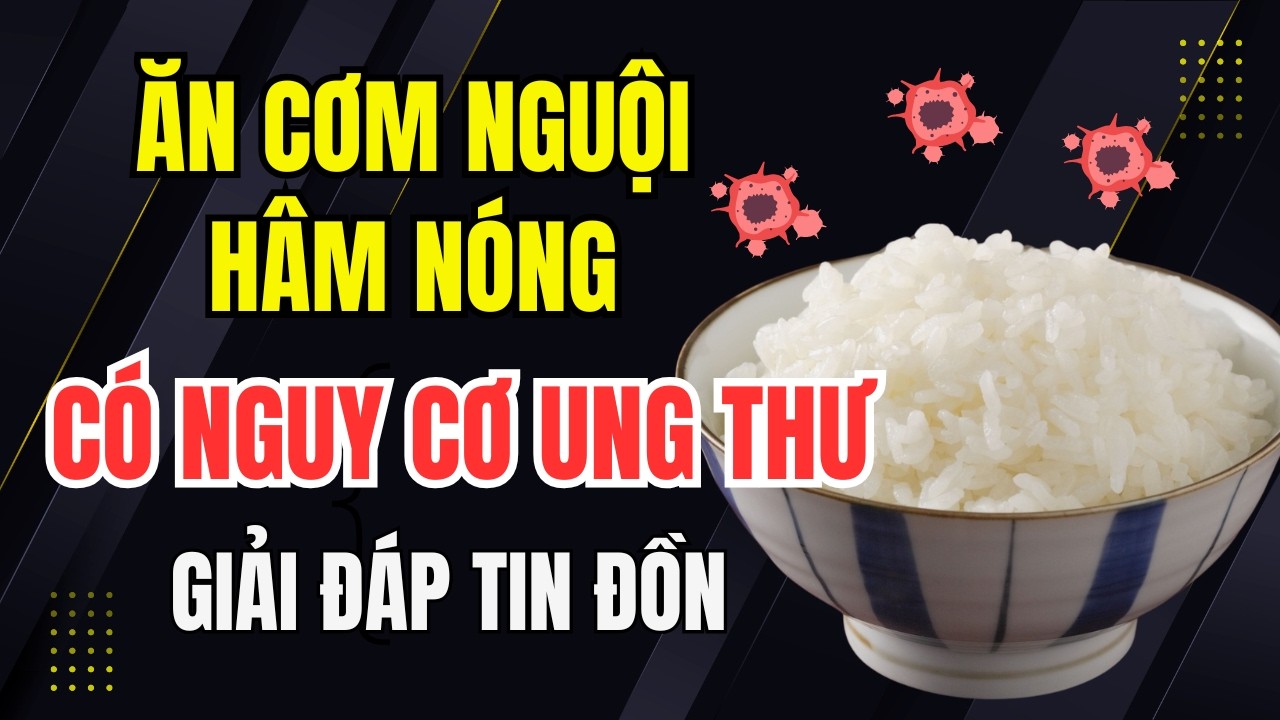 Ăn cơm nguội hâm nóng có gây ung thư không? giải đáp Sự thật về bát cơm để qua đêm sau tin đồn.