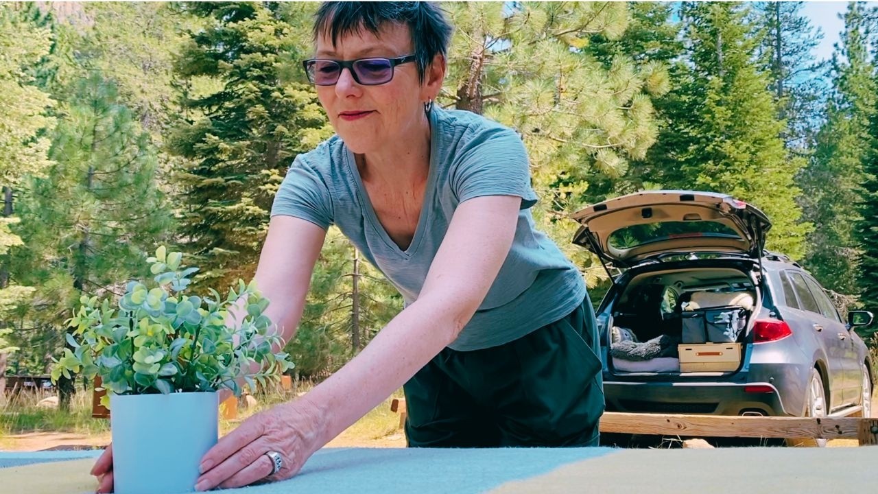 Cheap Tahoe Camping [w/SCARY VISITORS] 😱