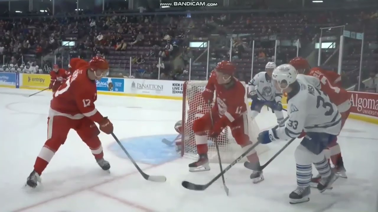 Porter Martone   Scouting Report