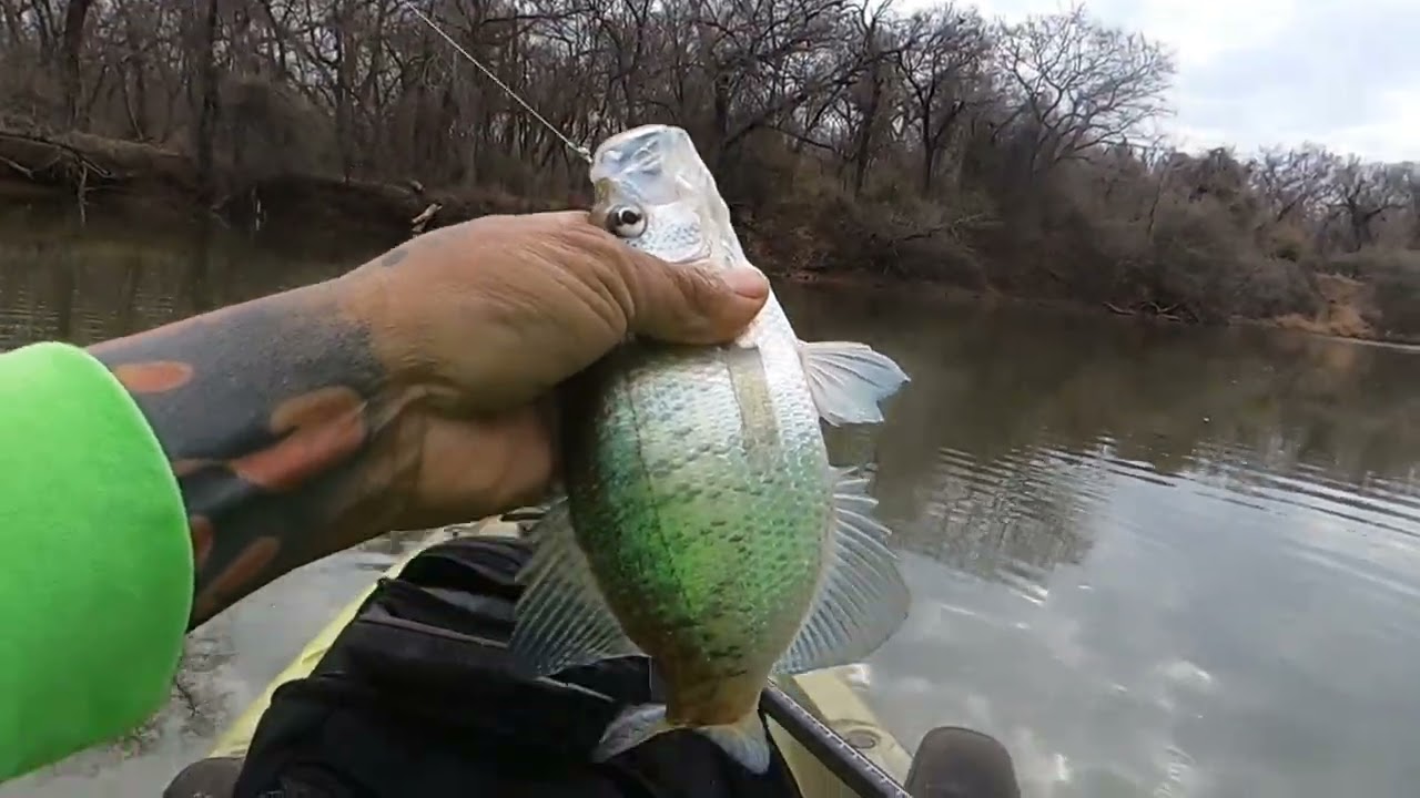 Woooow mega pesca de crappies y white bass people!