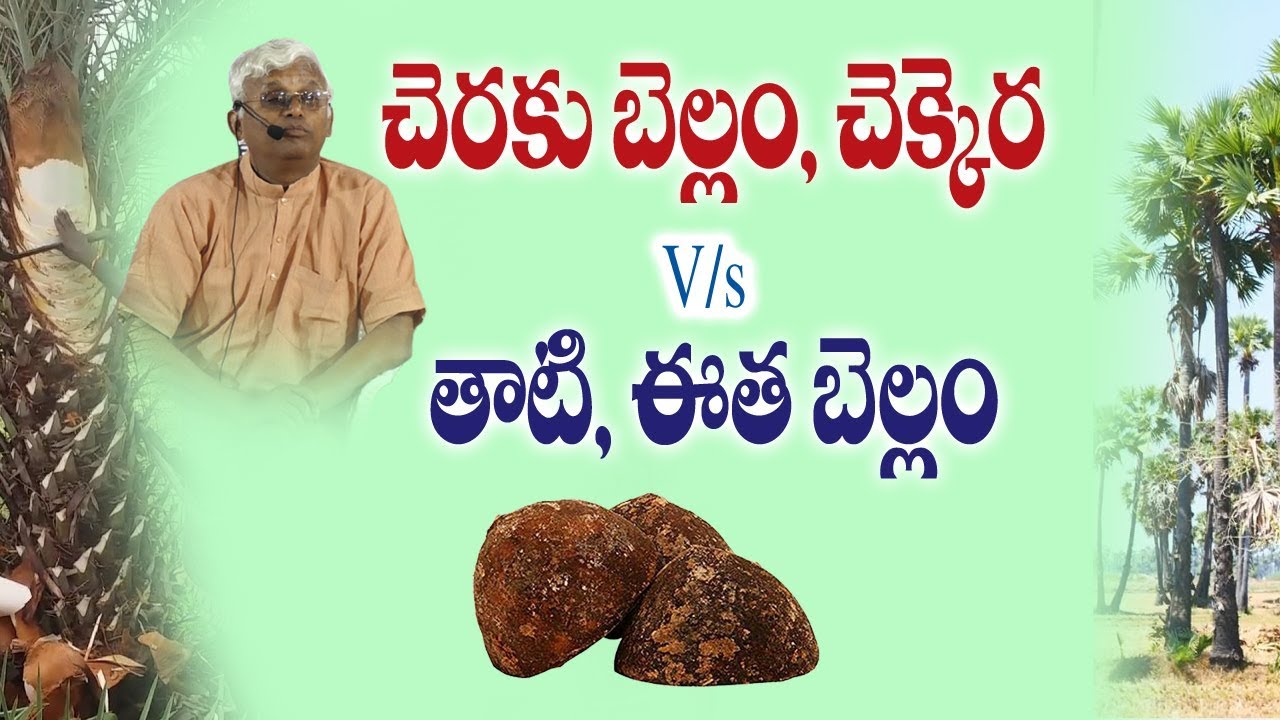 చెరకు బెల్లం ,చెక్కర Vs  తాటి ,ఈత బెల్లం  || Khader vali