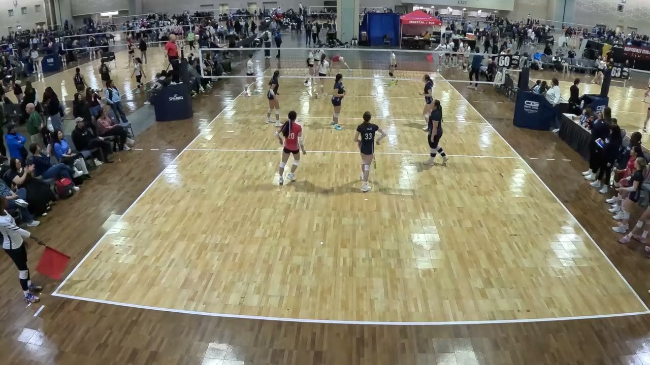 Nove 14 Premier Brody G2