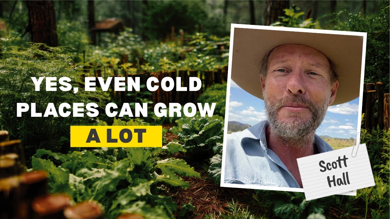 Food Forest Podcast: Scott Hall – How to start a syntropic food forest
