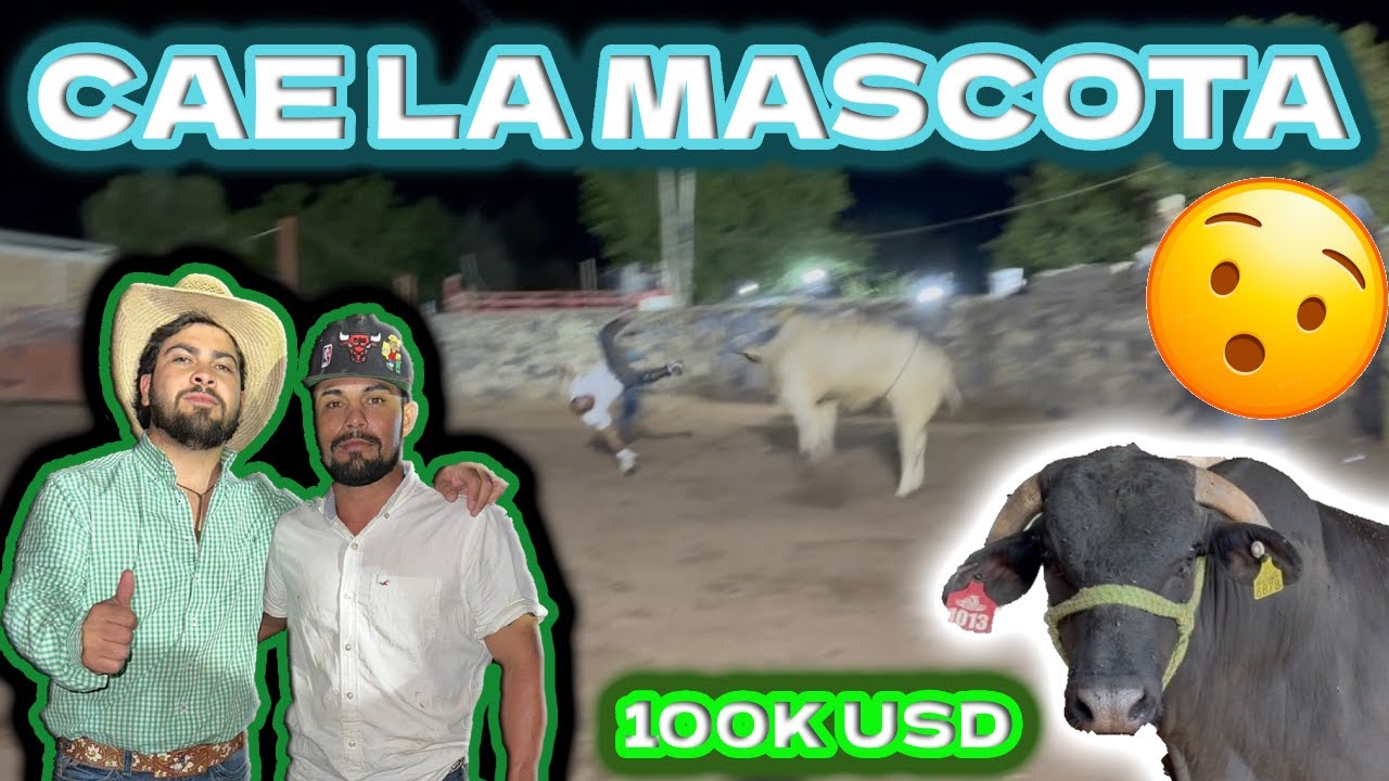 ESTOS TOROS ME COSTARON CASI 100K DE DOLARES 😱|| CHITIN VENEGAS