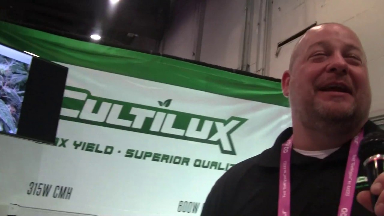 CULTILUX Rocks CANNABIS MOGULS!