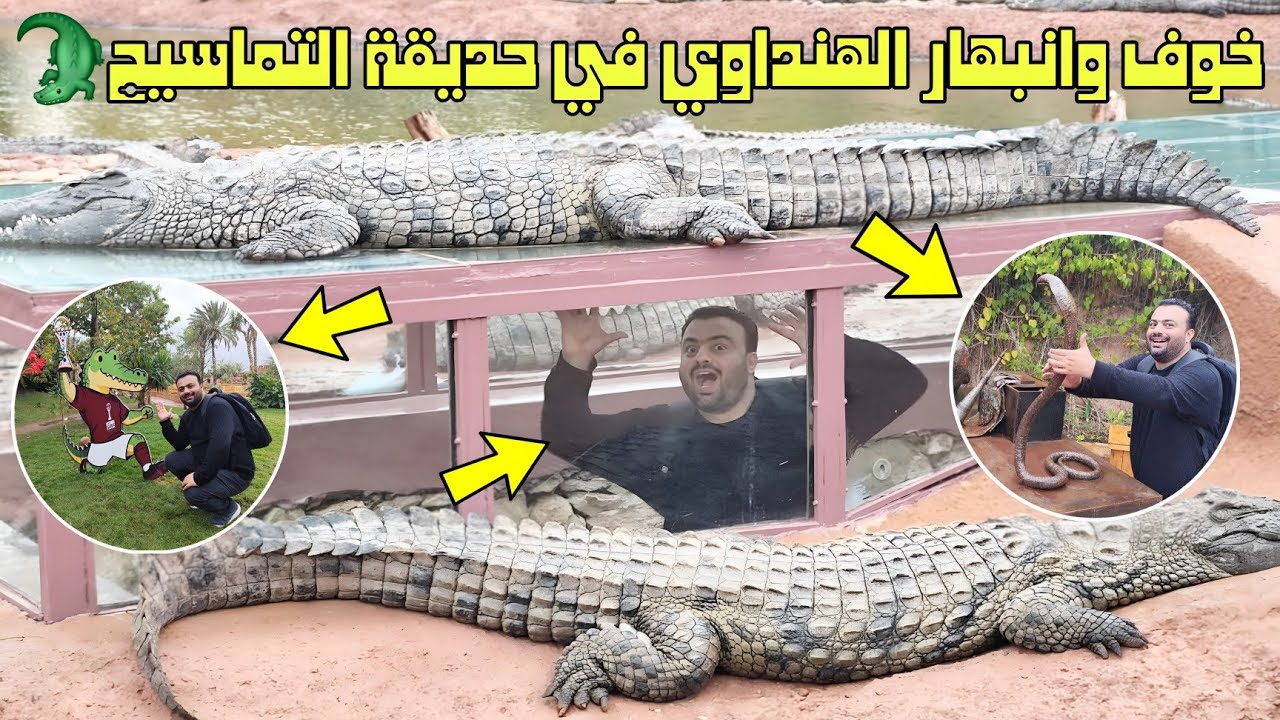 حديقة التماسيح في أكادير ..عالم مخيف ومثير داخل المغرب علي هامش كأس إفريقيا 2025 CROCO PARK 🐊