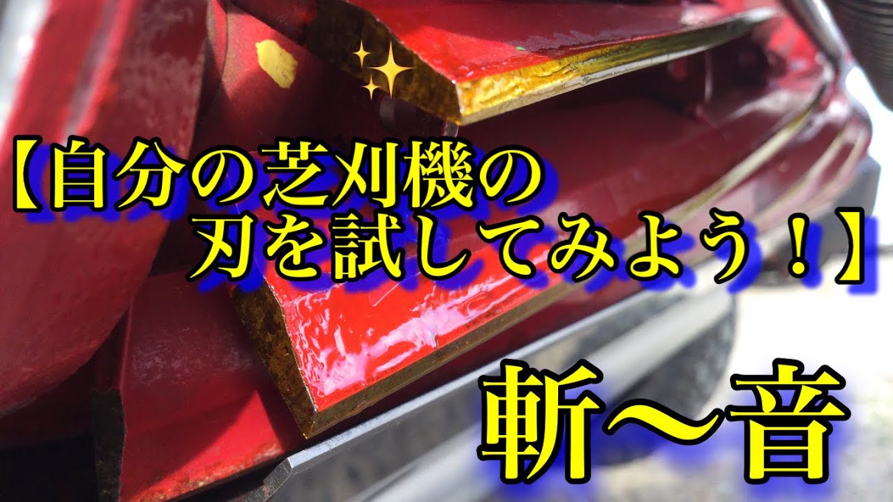 【刈れる芝刈機の刃の調整✨〜🎶】リール式の凄さ
