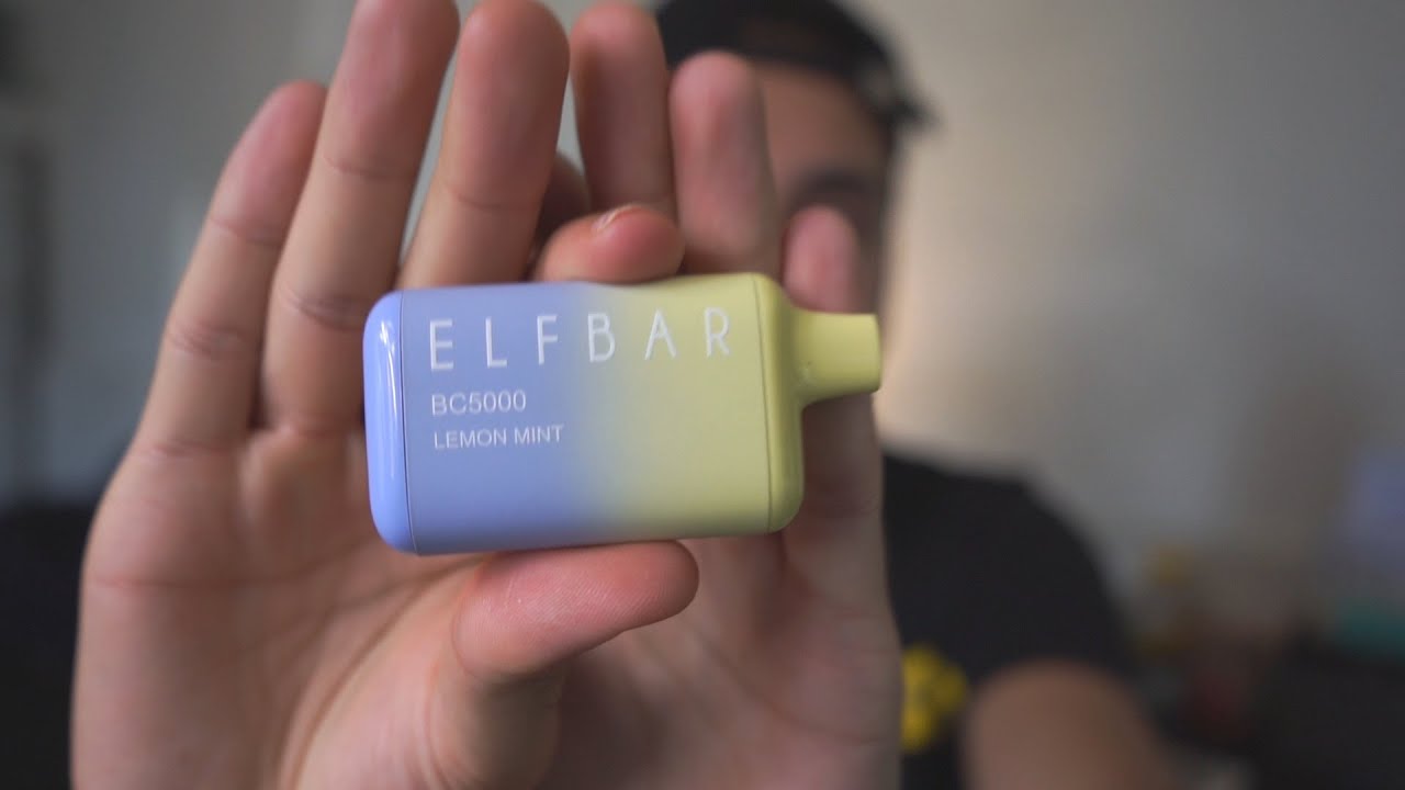 **NEW** ELFBAR Lemon Mint Review! (Disposable Vape)