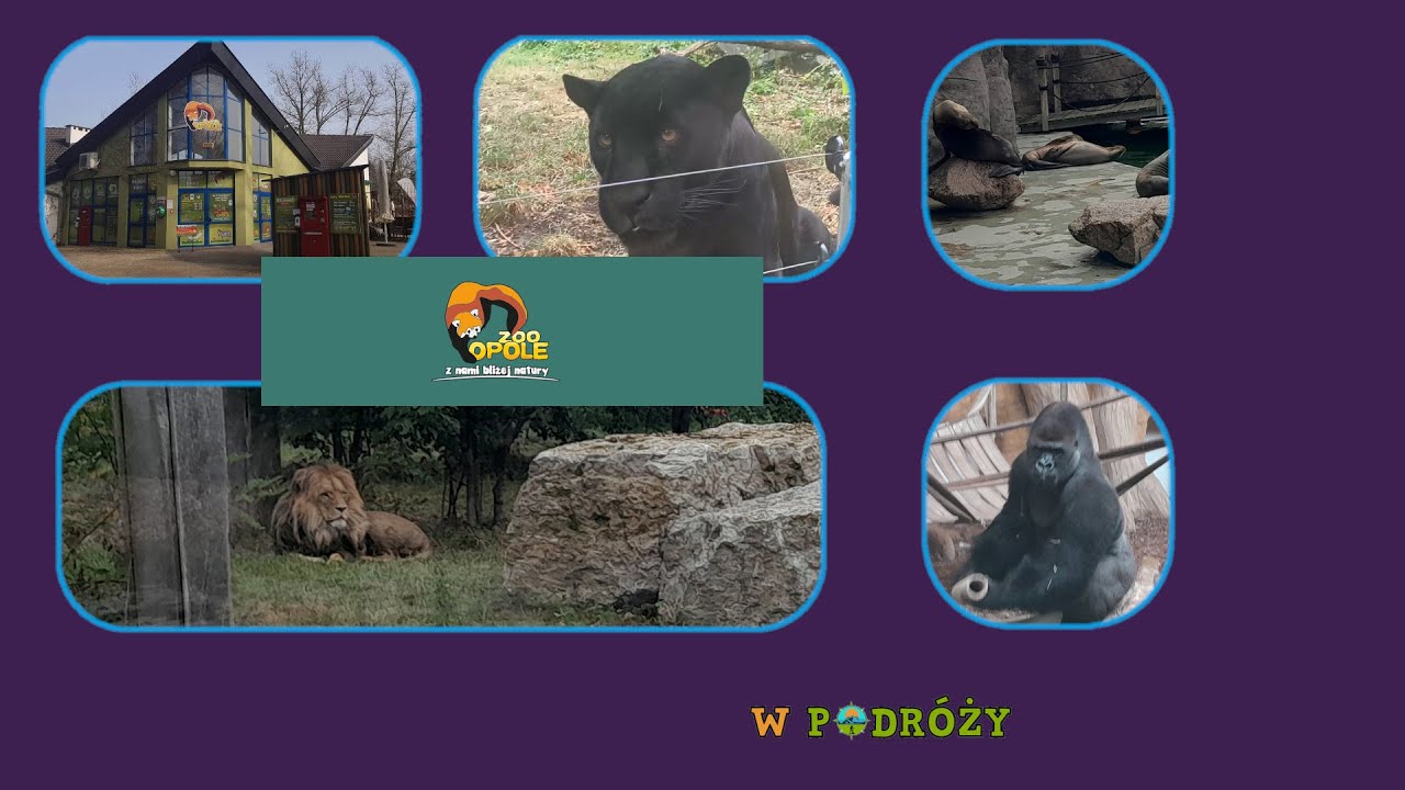 ZOO Opole