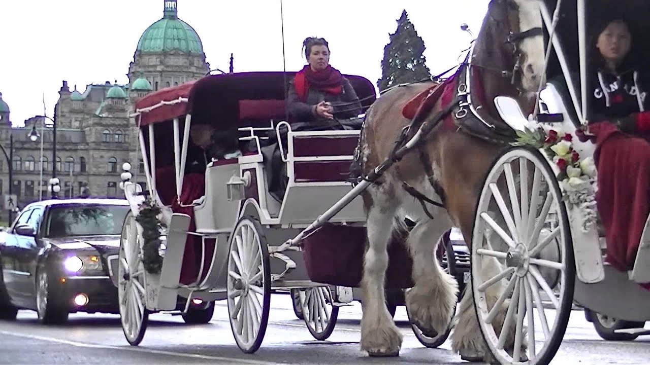 Horse drawn carriages in Victoria, BC, Canada