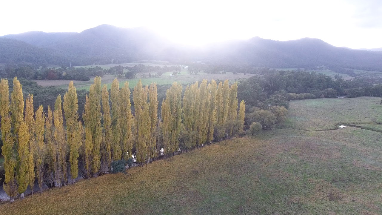 MOUNT BEAUTY - Tawonga - VIC - Australia
