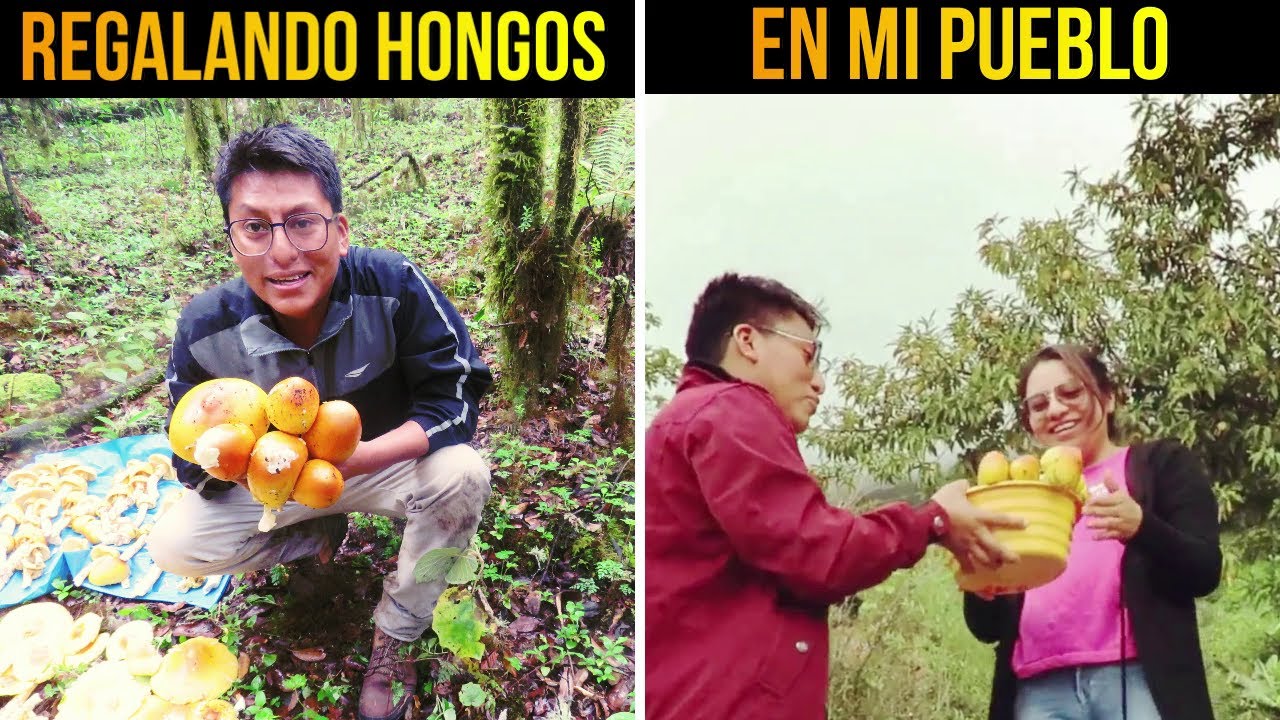 🍄Regalando Hongos Comestibles en mi Pueblo✨ | San Cristóbal Chichicaxtepec, Oaxaca | Parte II