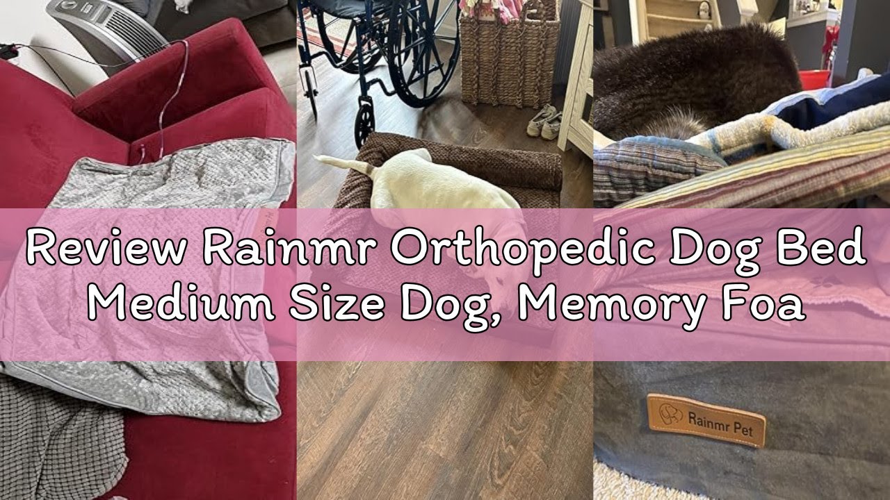 Review Rainmr Orthopedic Dog Bed Medium Size Dog, Memory Foam Dogs Bed for Medium Dogs, Washable Rem