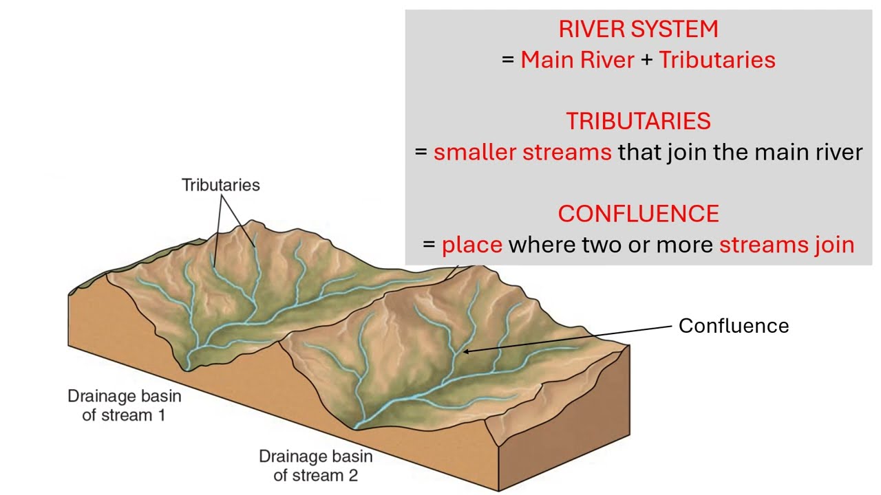 THE DRAINAGE BASIN