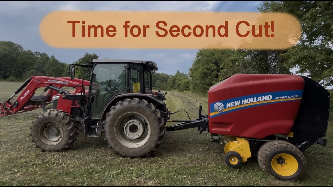 2025 Second Hay Cut