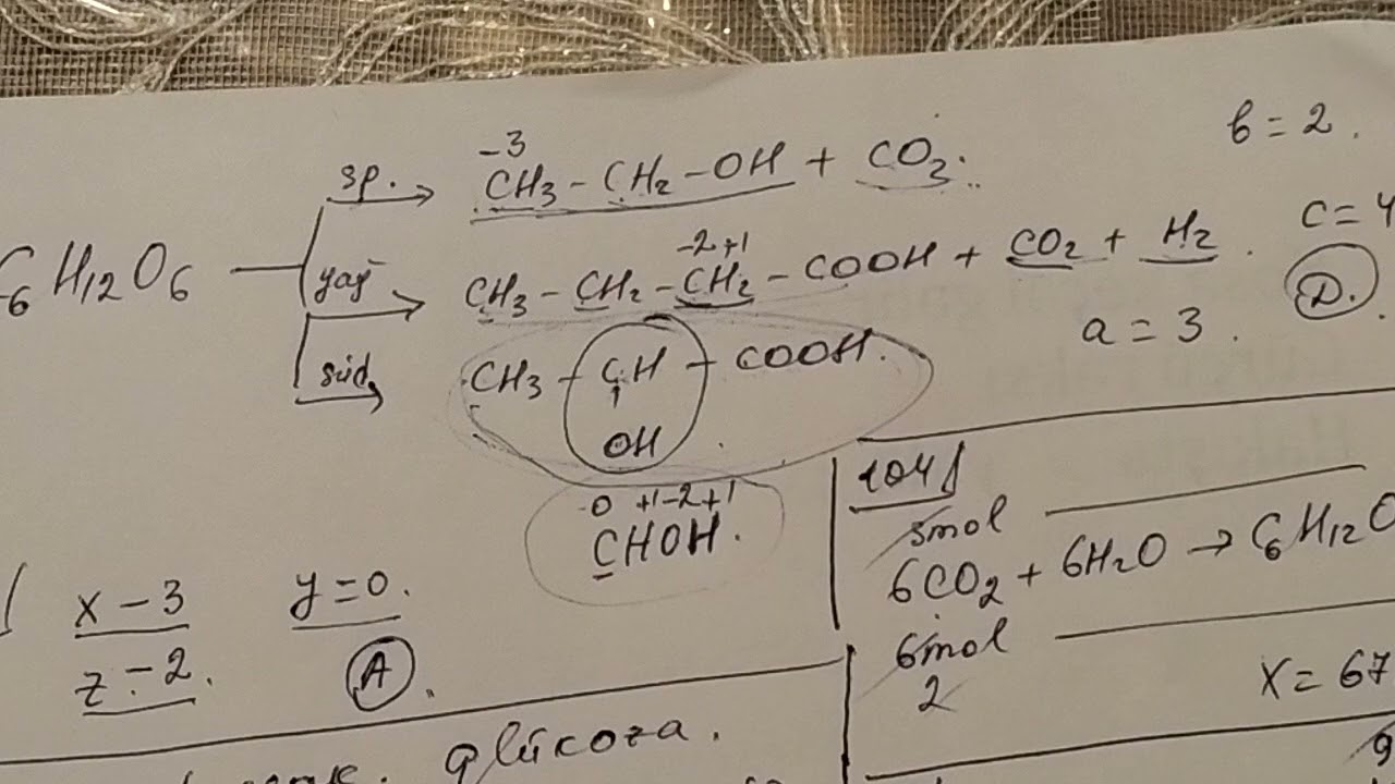 Karbohidrat.Monosaxarid test 101-123.DİM toplu 2019.