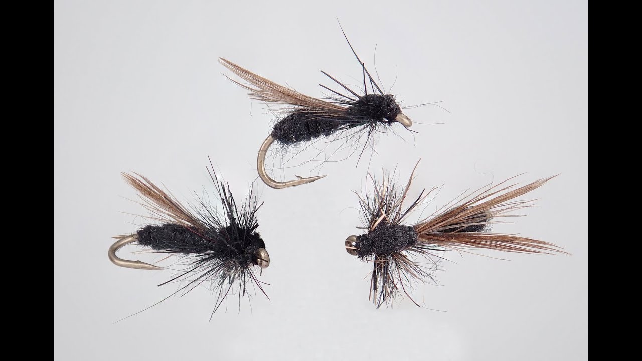 Micro fourmis