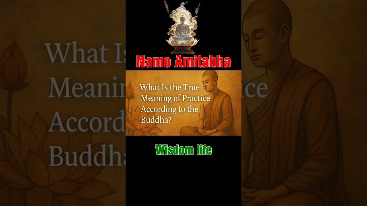 18 Why Did the Great Sages Focus on Pure Land Cultiva