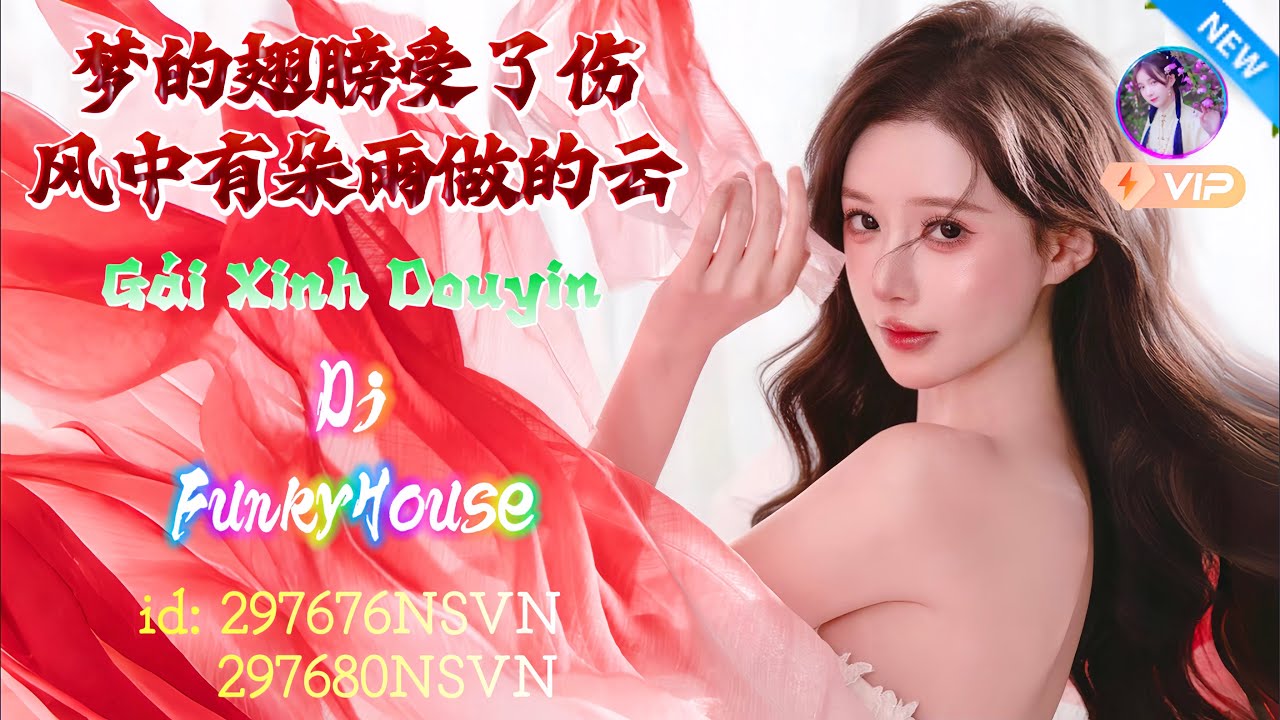 梦的翅膀受了伤 x 风中有朵雨做的云（DJ阿蓝 & DJPad仔 FunkyHouse Rmx）Gái Xinh Douyin