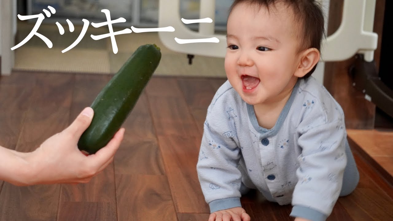【離乳食】初めてのズッキーニ！お皿をひっくり返して後悔している0歳児が可愛い