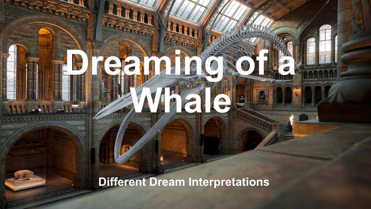 Dreaming of a Whale - Dream Interpretations