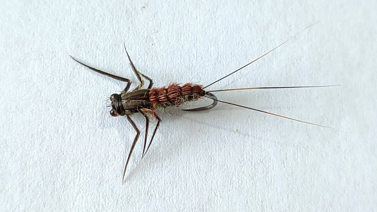 Fly Tying - Pheasant Tail Mayfly Nymph