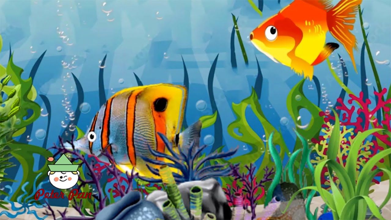 Gentle Aquarium Lullaby - colorful fish calmly swim by.
