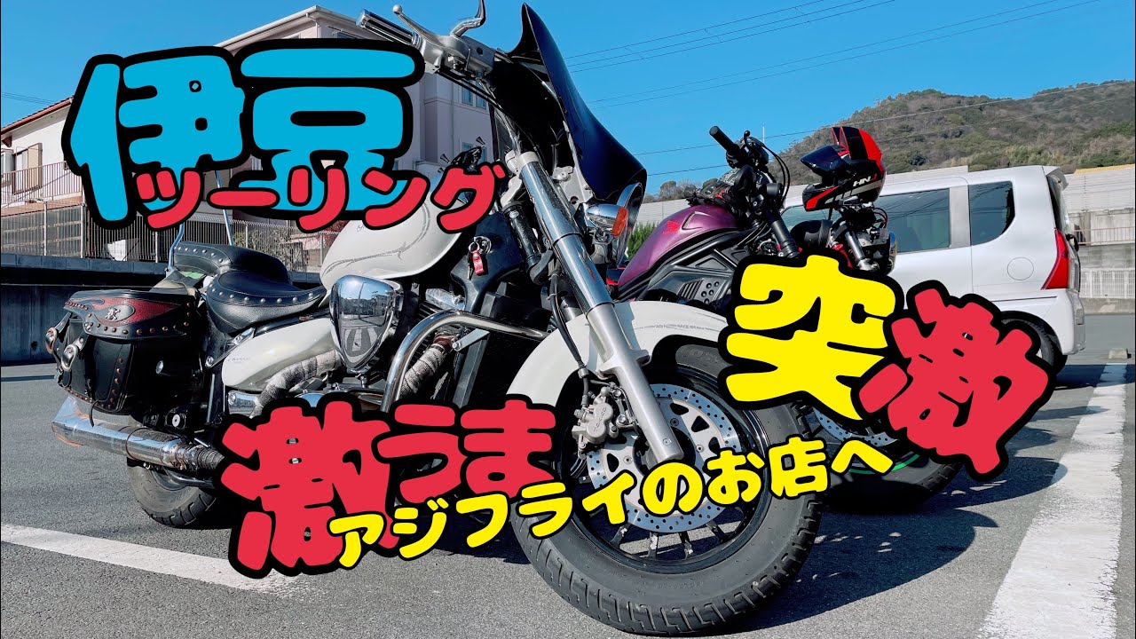 【動画日記】冬なのに最高の陽気でツーリング！伊豆のアジフライが激ウマなお店へライディング！