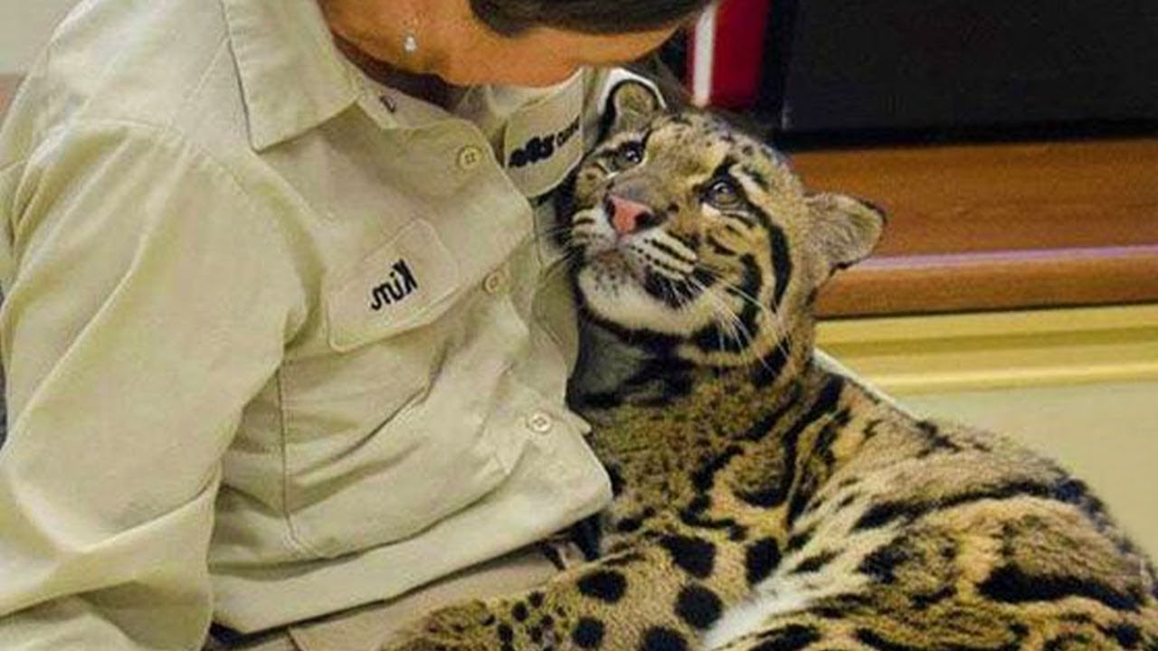 Tiere treffen ihre Besitzer nach Jahren wieder!