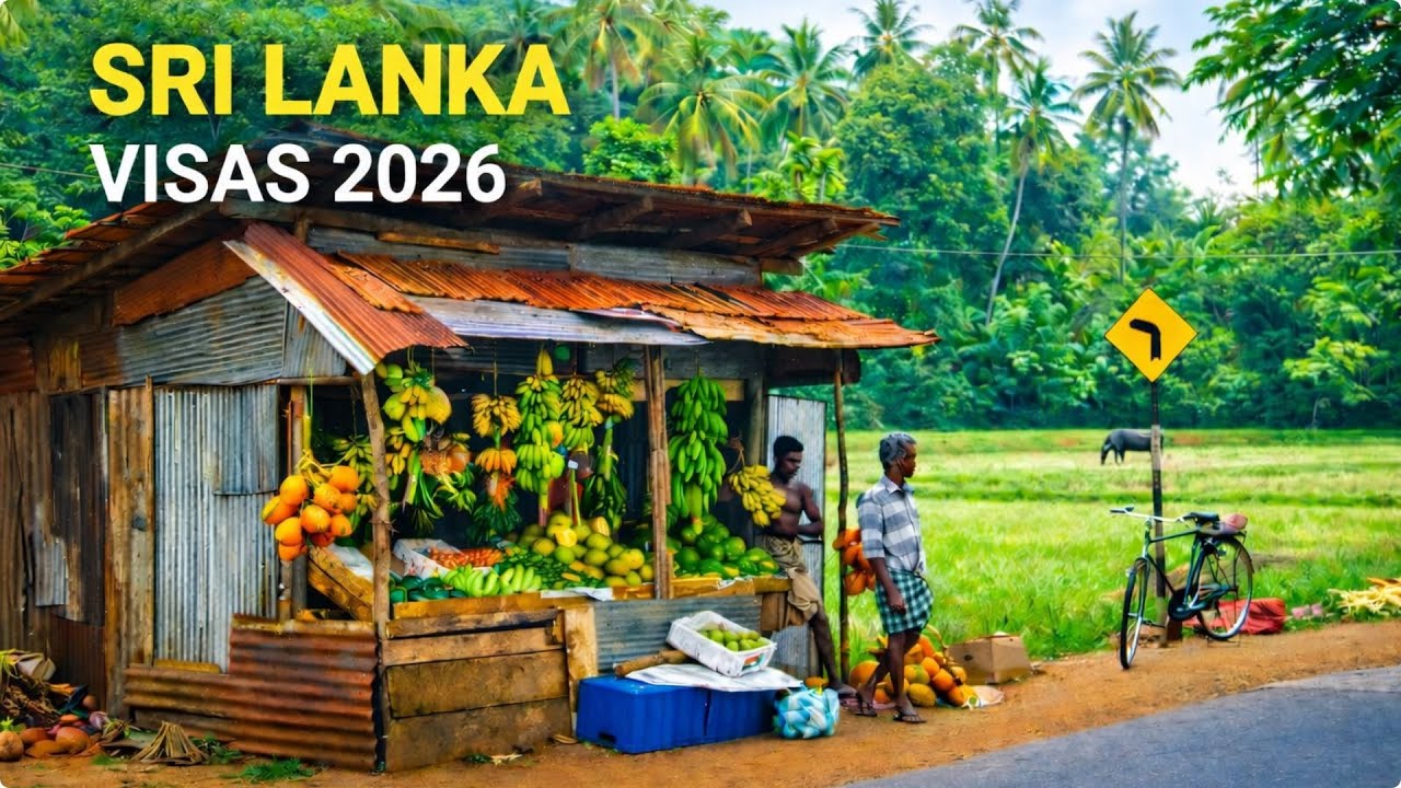 Визы в Шри-Ланку (2026) | Варианты долгосрочного пребывания