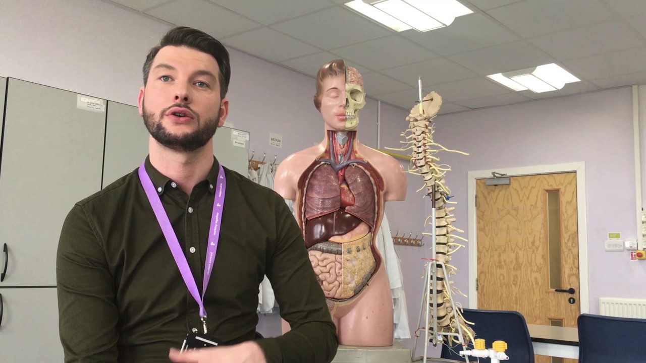 How important are science subjects in the job sector?