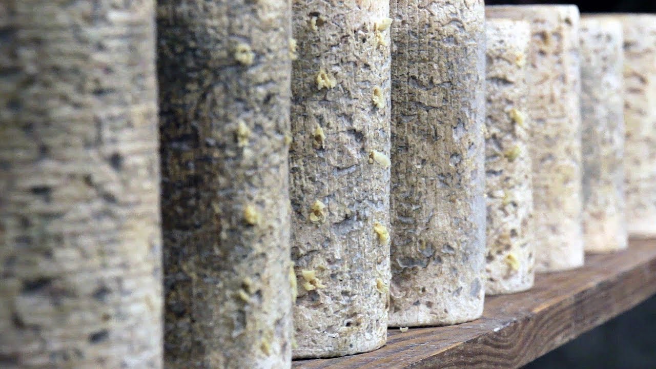 La Ferme des Supeyres (Puy-de-Dôme) & Fourme d'Ambert Fermière / La Communauté Des Fromages