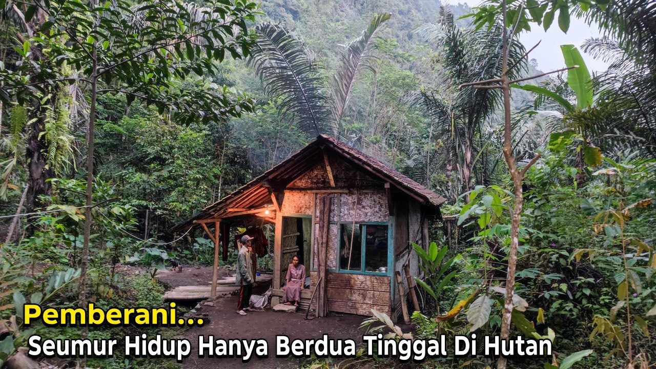 Pasutri Pemberani.. Seumur Hidup Hanya Tinggal Berdua di Tengah Hutan Lereng Gunung. Hanya 1 Rumah
