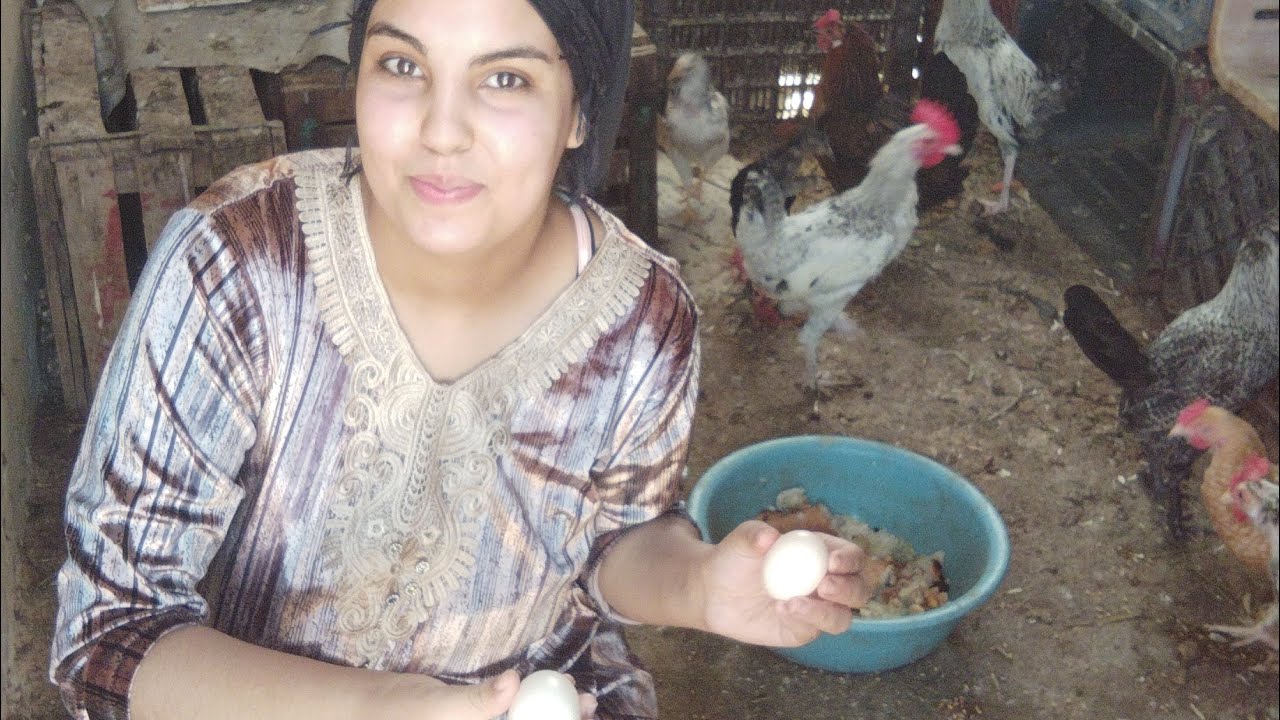 شوفو حصيلة اليوم 🐓 نهار فسطح ختي ديال تصبين 😂