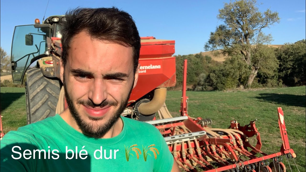 Semis ble dur au combinée sur mon exploitation 2023