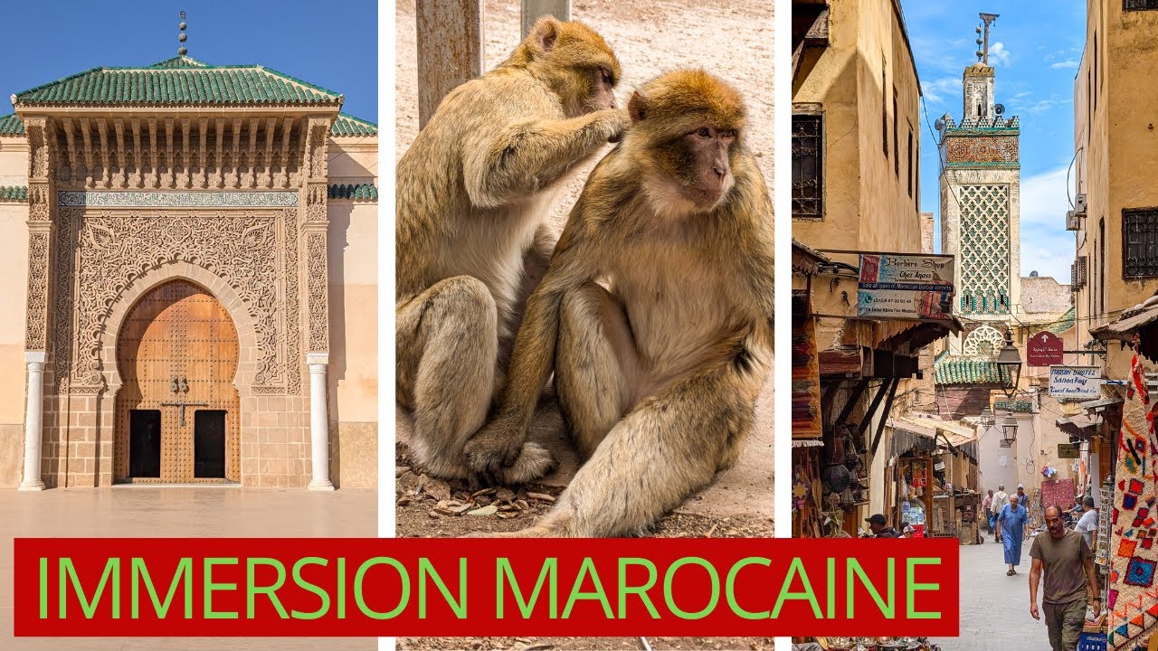02 : Maroc 🇲🇦 - Villes IMPÉRIALES 👑, PÈLERINAGE 🤲, scènes de vie, DÉPAYSEMENT garanti !