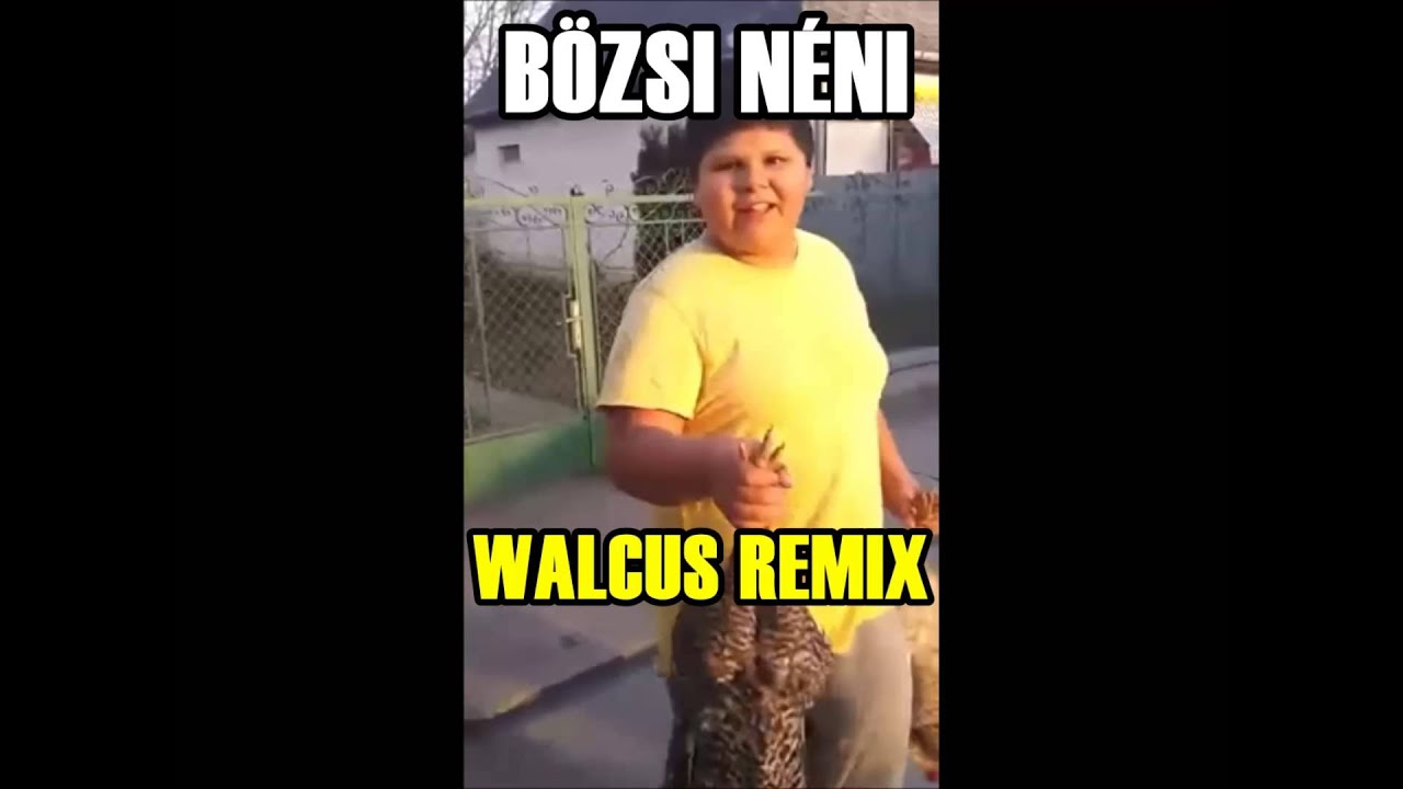 B&Ouml;ZSI N&Eacute;NI &Aacute;TT BASZOTT (Walcus Remix)
