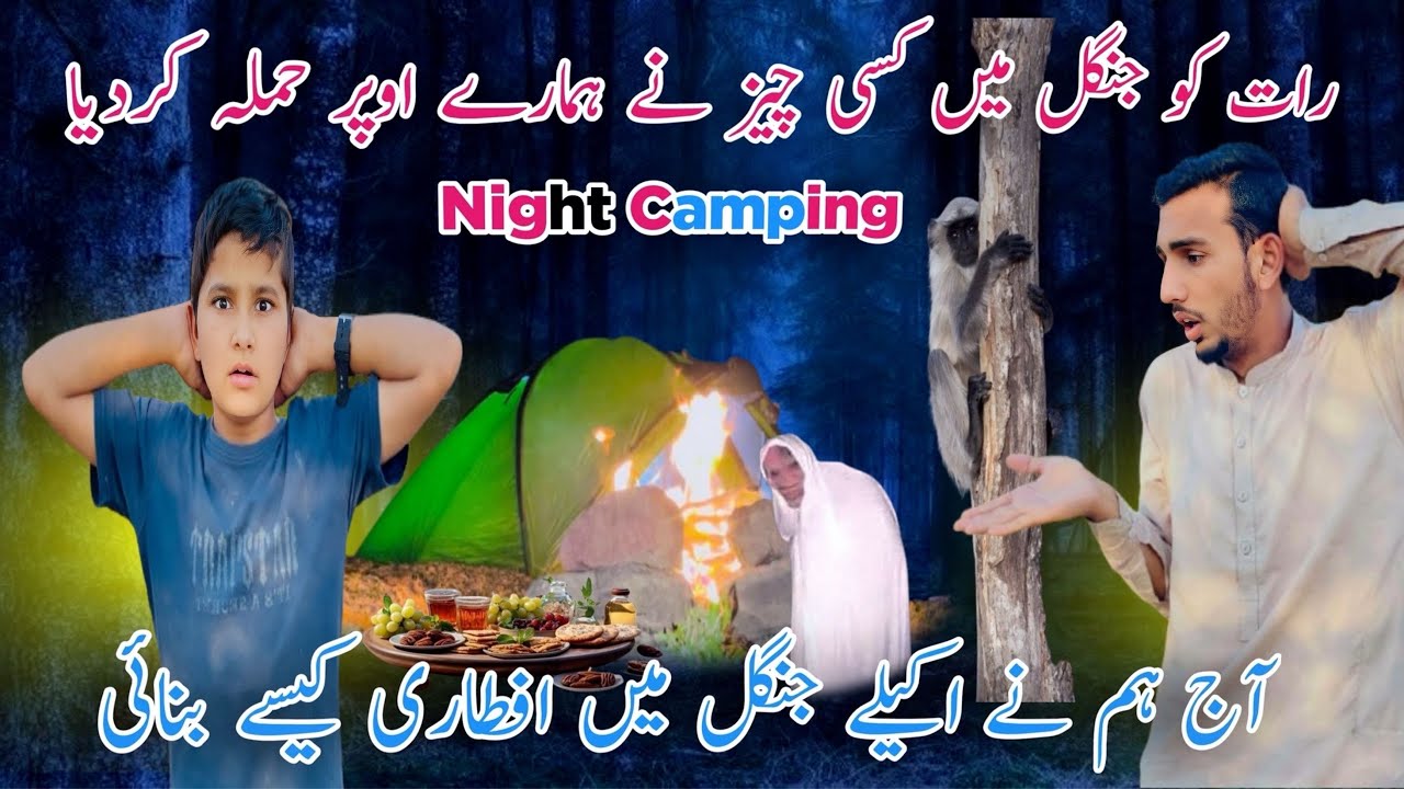 Night camping in dangerous Forest with my little brother/ Faizan Ofiicial