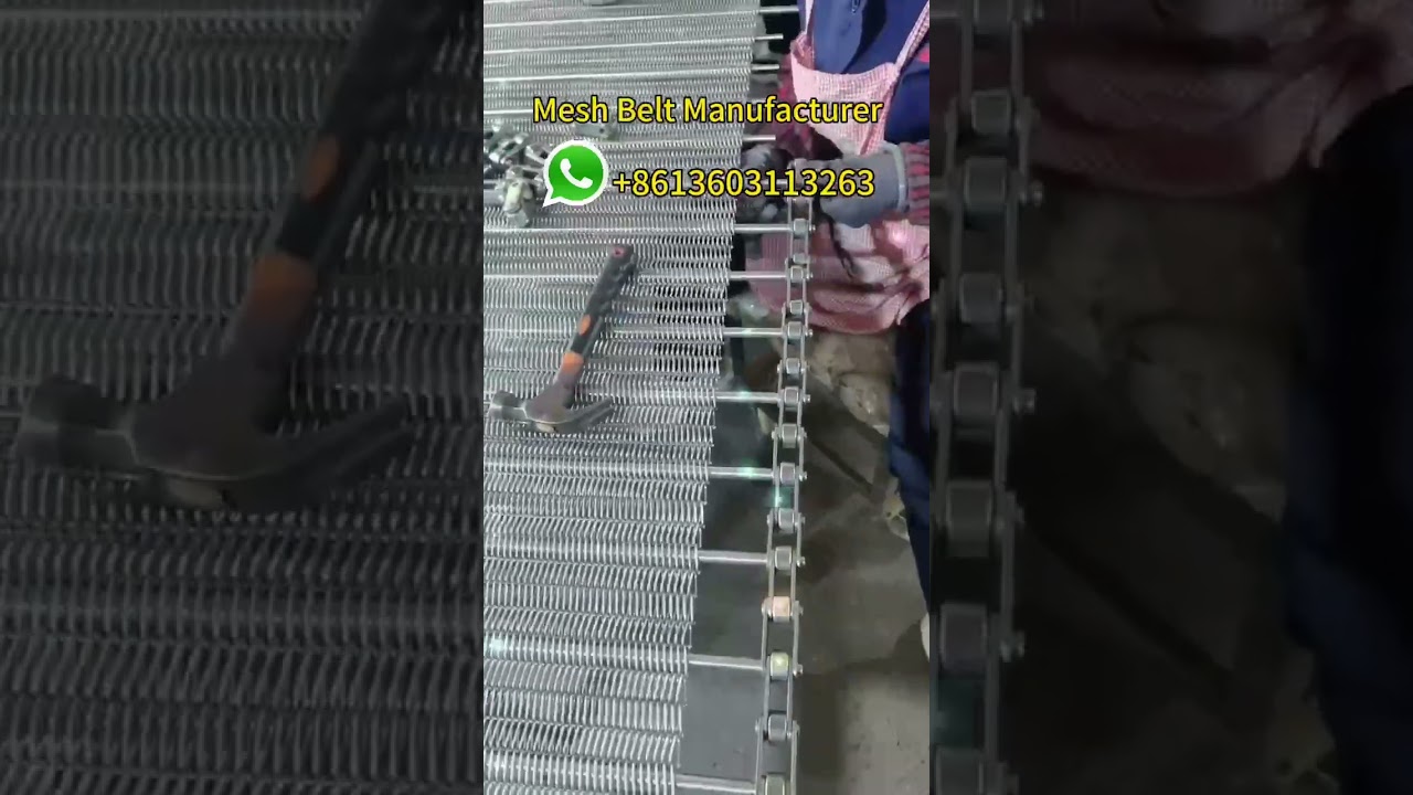 50 8 pitch ss304 chain wire mesh conveyor belt #cinta #transport  #conveyorbelt #dryingmachinebelt