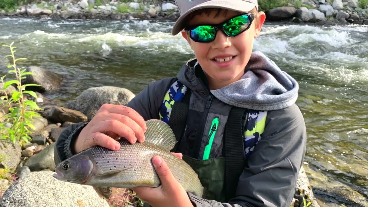 Grayling fishing on Brushkana River/Denali Highway. August 2022