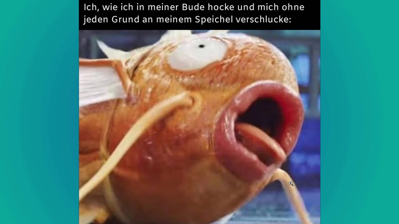 Diese memes sind so ich! | r/ich_iel