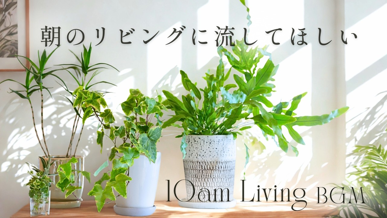 ☕ 10AM Living BGM｜朝のリビングに流してほしい｜作業用・朝活BGM (1 Hour)