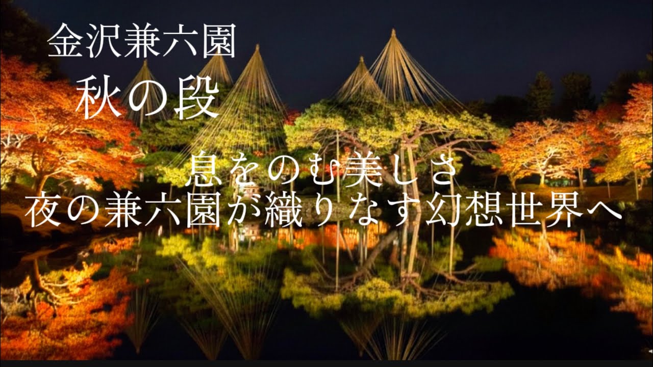 【2025金沢兼六園】秋の段 息をのむ美しさ 夜の兼六園が織りなす幻想世界へ