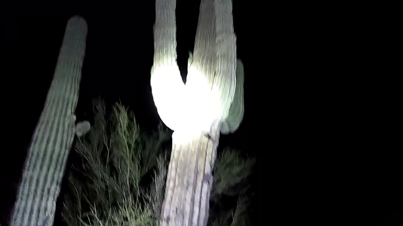 Thrunite TN40S Arizona Desert